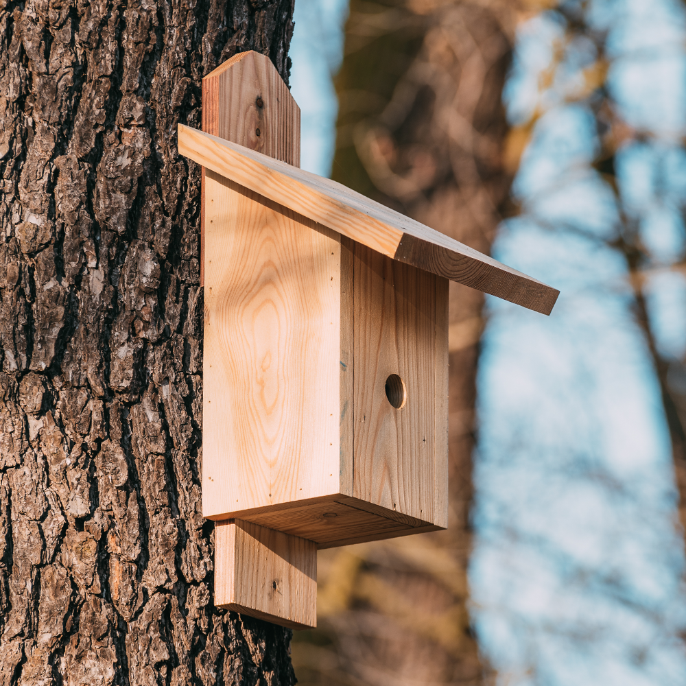 Selbstgebauter Vogel-Nistkasten hängt an einem Baum