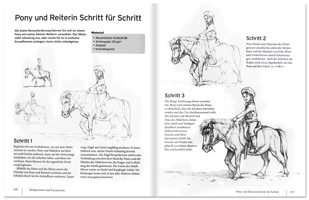 Grundkurs Tiere zeichnen