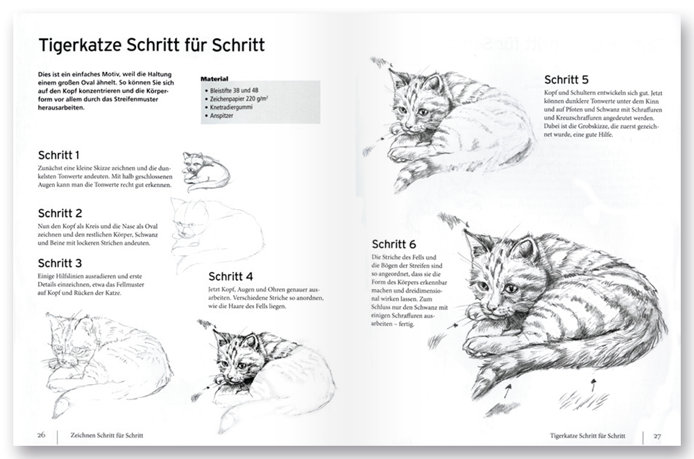 Grundkurs Tiere zeichnen