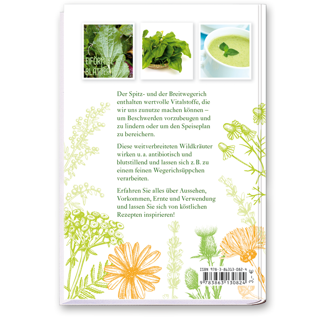 Spitz- und Breitwegerich