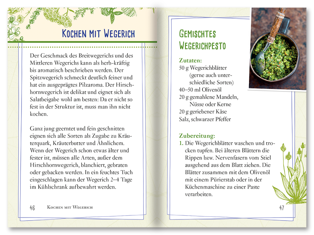 Spitz- und Breitwegerich