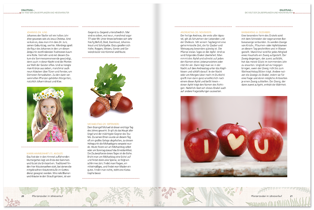Hexenkraut & Zauberpflanzen