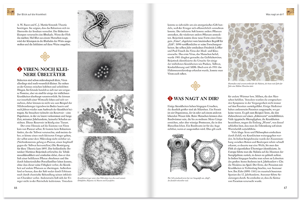 Geschichte der Medizin