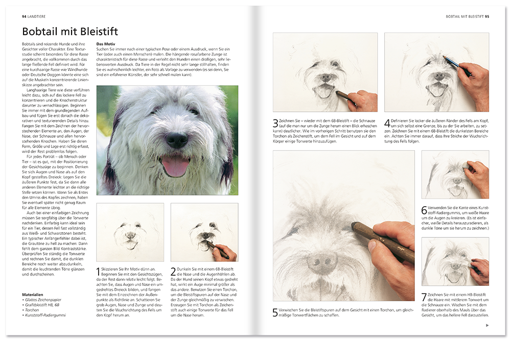 Tiere malen und zeichnen