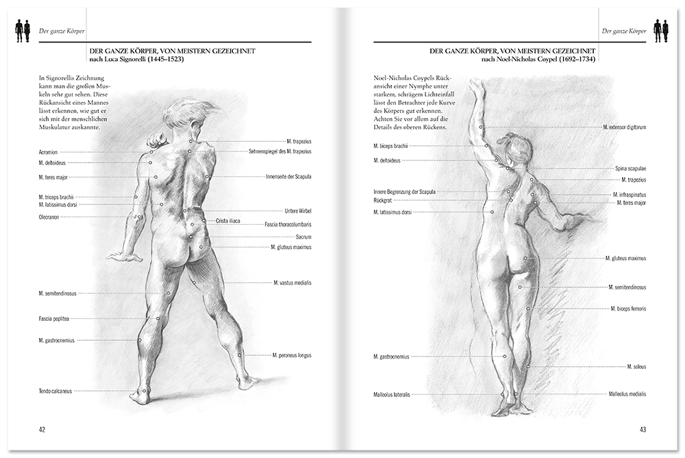 Anatomie für Künstler