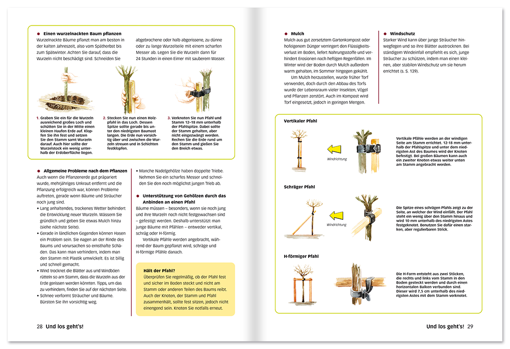 Perfekte Bäume und Sträucher