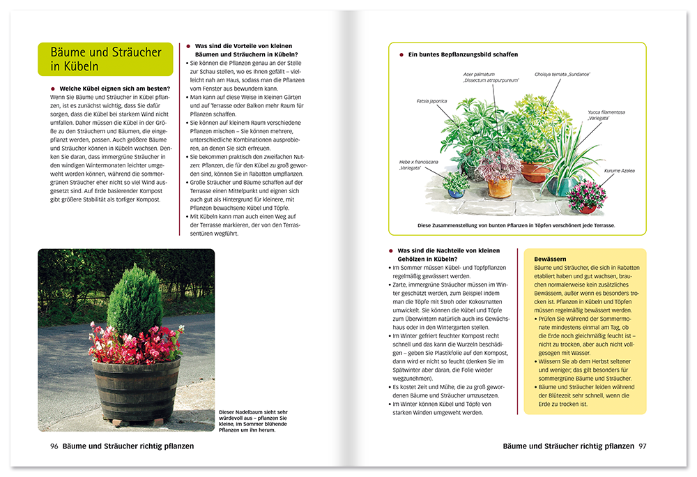 Perfekte Bäume und Sträucher