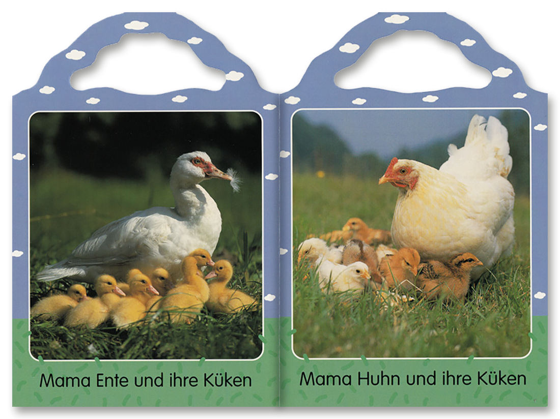 Meine liebsten Babytiere