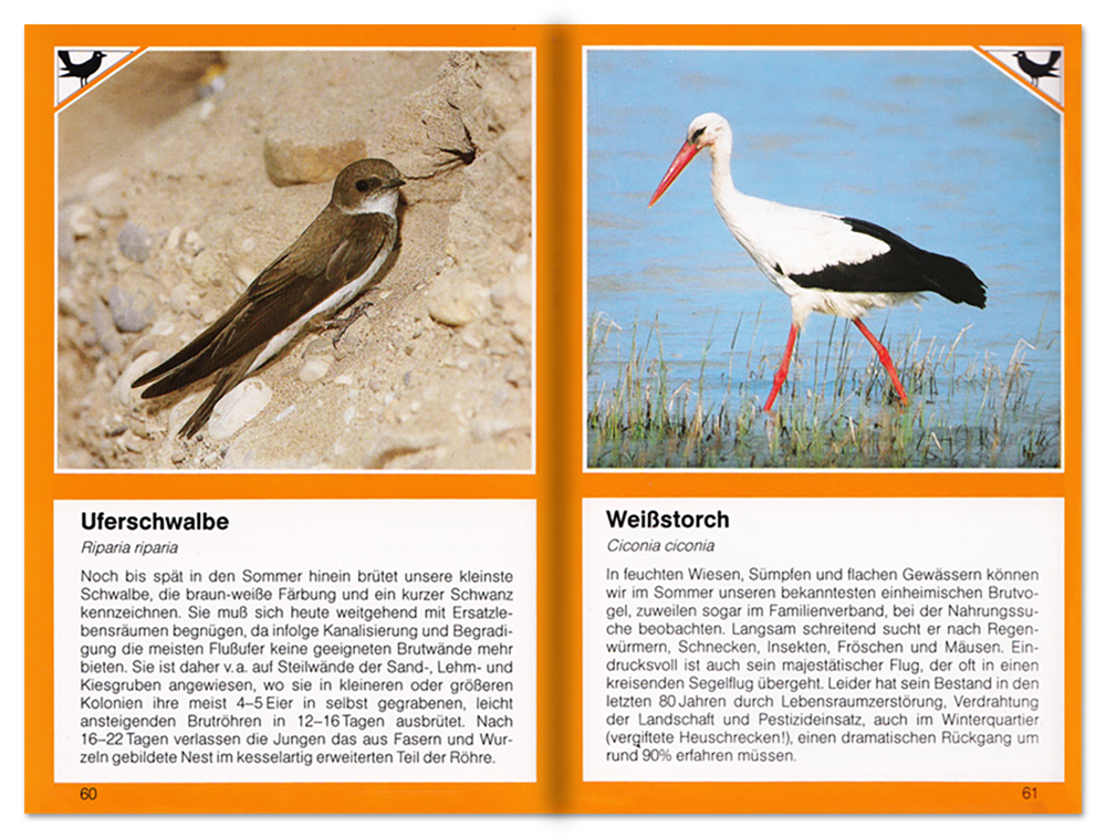 Sommer im Feuchtgebiet