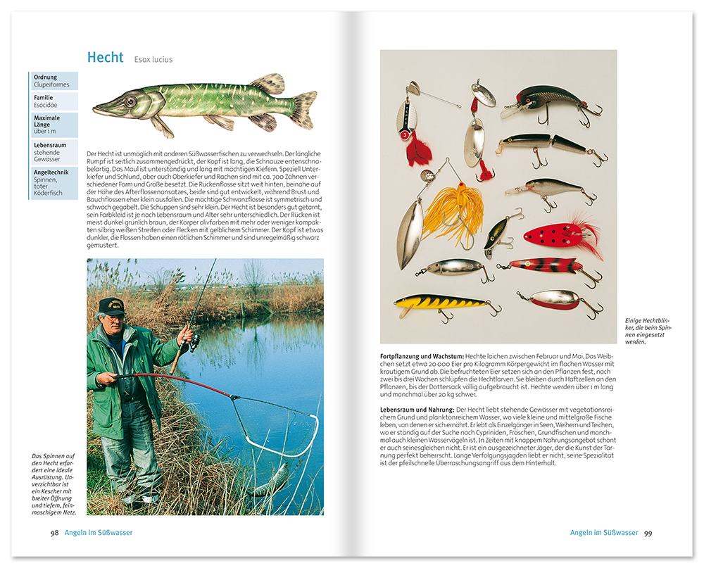 Angeln Sachbuch Angeltechniken und Tipps Leseprobe S98–99 Neuer Kaiser Verlag Onlineshop