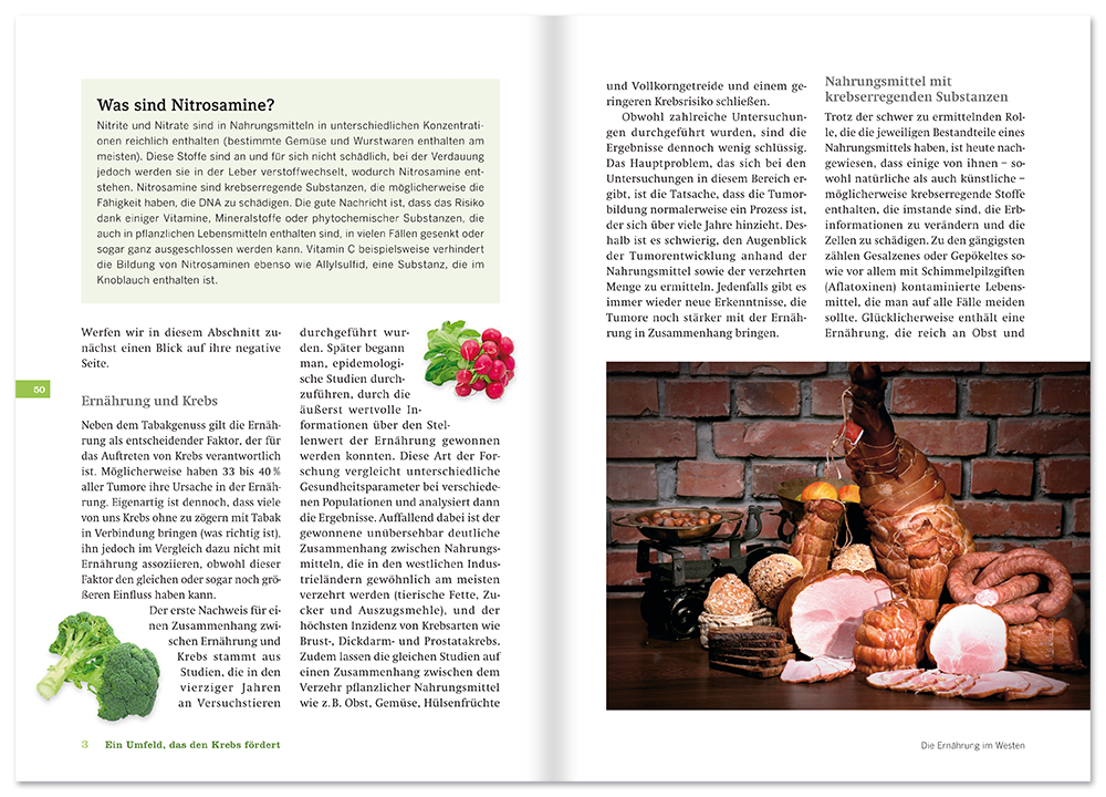 Anti-Krebs-Ernährung Ratgeber Gesundheit und Ernährung Leseprobe S50–51 Tosa Onlineshop