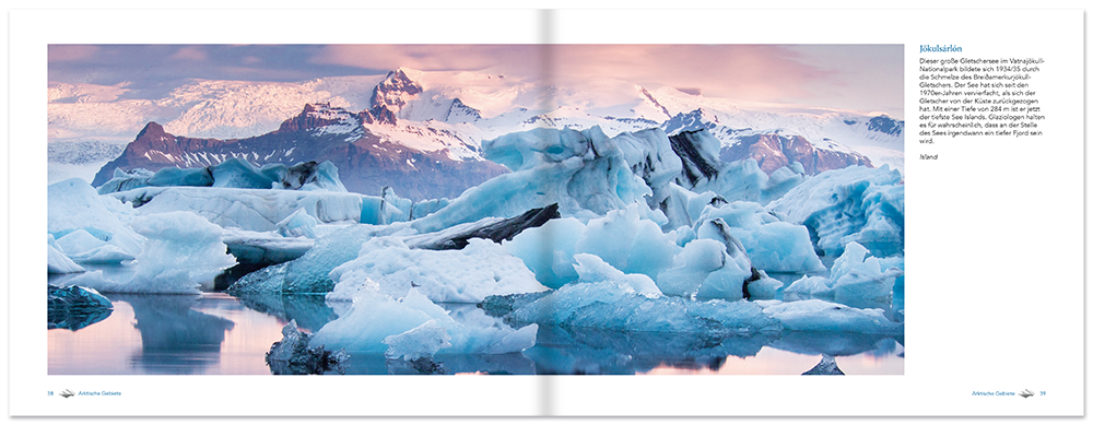 Arktis Sachbuch Bildband Flora und Fauna Leseprobe S38–39 Tosa Onlineshop