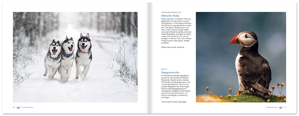Arktis Sachbuch Bildband Flora und Fauna Leseprobe S78–79 Tosa Onlineshop