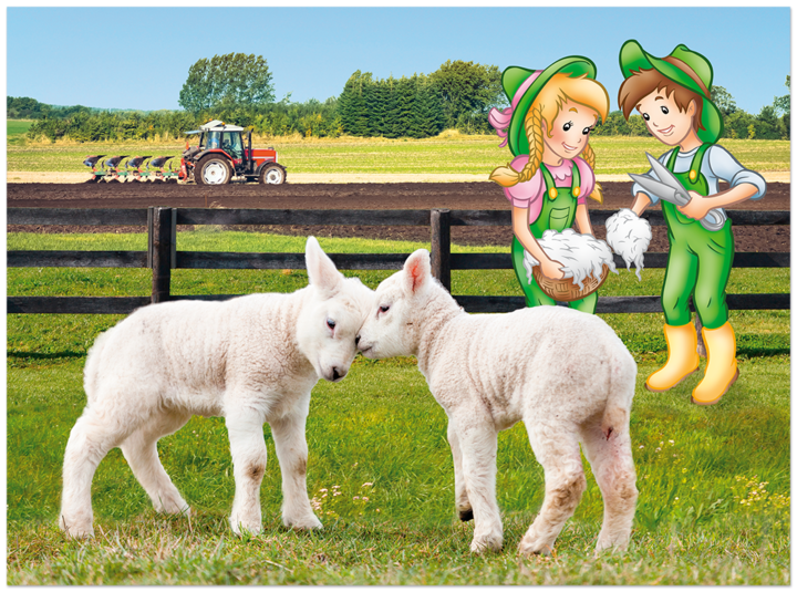 Auf dem Bauernhof gehts rund Kinderbuch Poster EDITION XXL Onlineshop