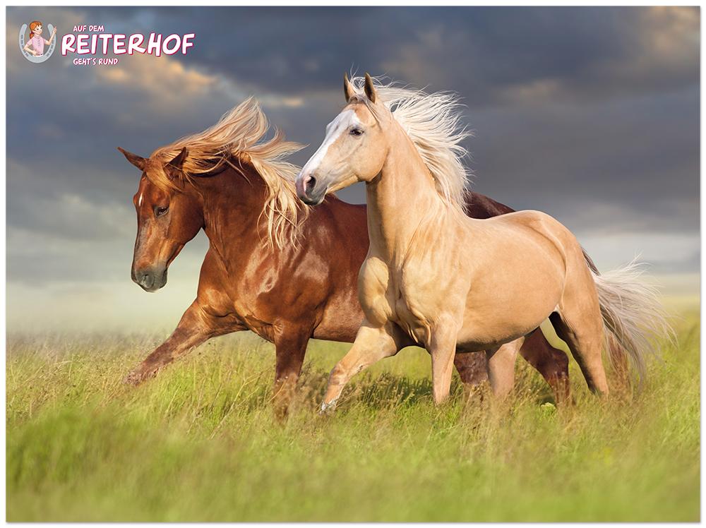 Auf dem Reiterhof gehts rund Kinderbuch Reiterhof Poster EDITION XXL Onlineshop