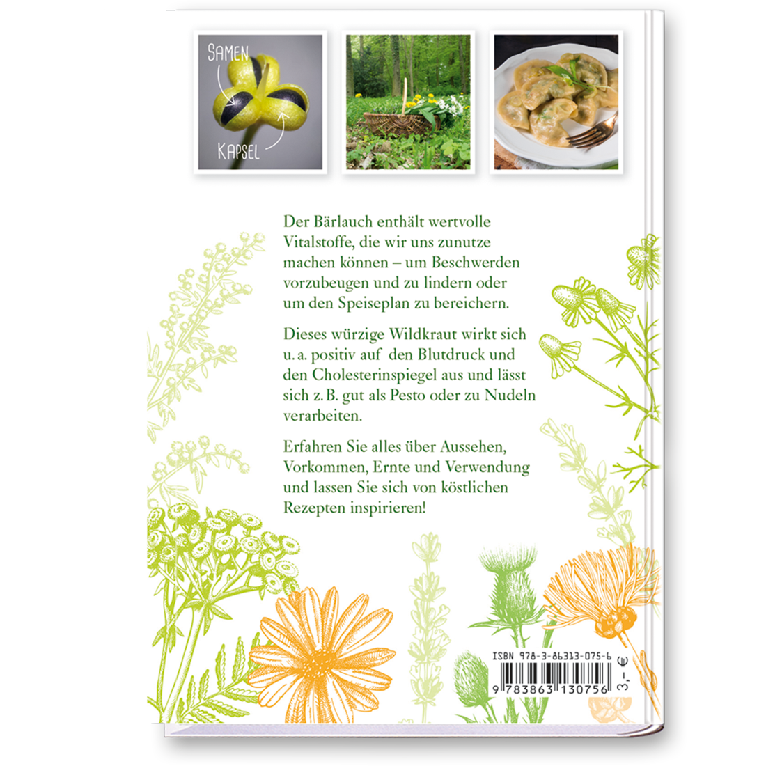 Bärlauch Sachbuch Wildpflanzen Ratgeber Cover Buch Rückseite Tosa Onlineshop
