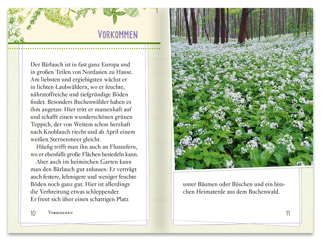 Bärlauch Sachbuch Wildpflanzen Ratgeber Leseprobe S10–11 Tosa Onlineshop.