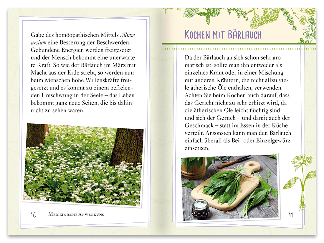 Bärlauch Sachbuch Wildpflanzen Ratgeber Leseprobe S40–41 Tosa Onlineshop.