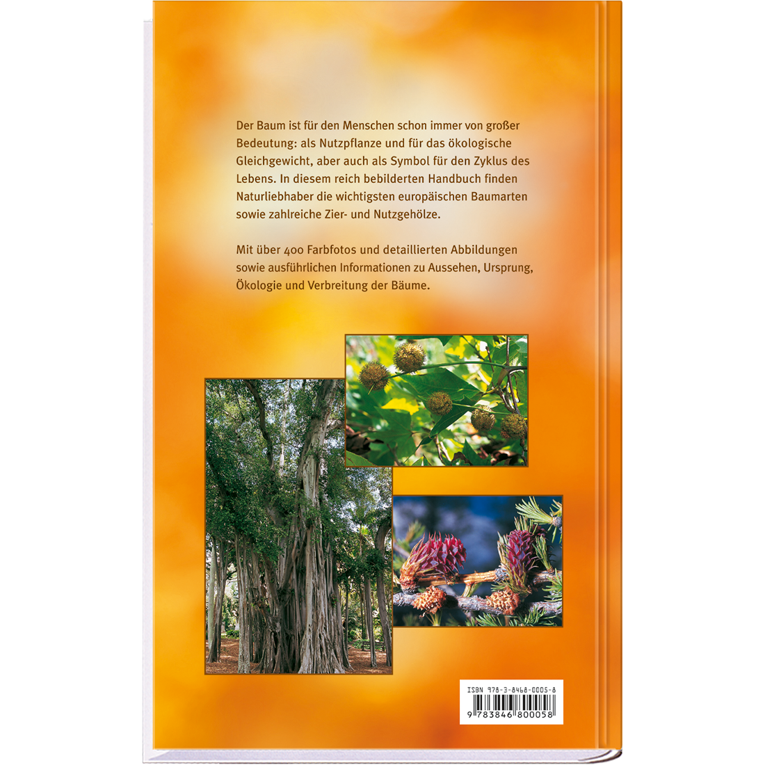 Bäume Sachbuch Natur und Pflanzen Cover Buch Rückseite Neuer Kaiser Verlag Onlineshop
