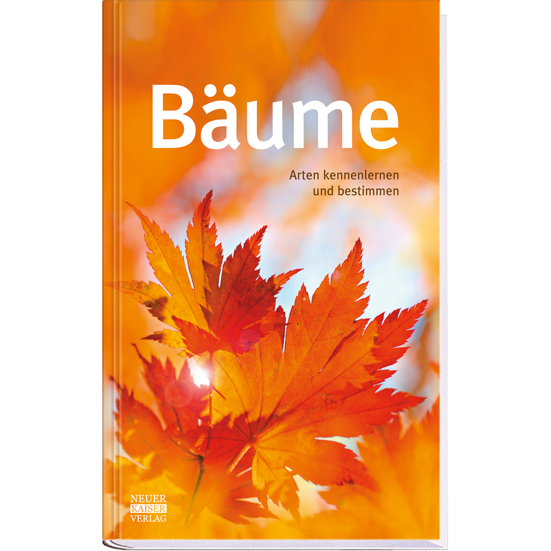 Bäume Sachbuch Natur und Pflanzen Cover Buch Vorderseite Neuer Kaiser Verlag Onlineshop