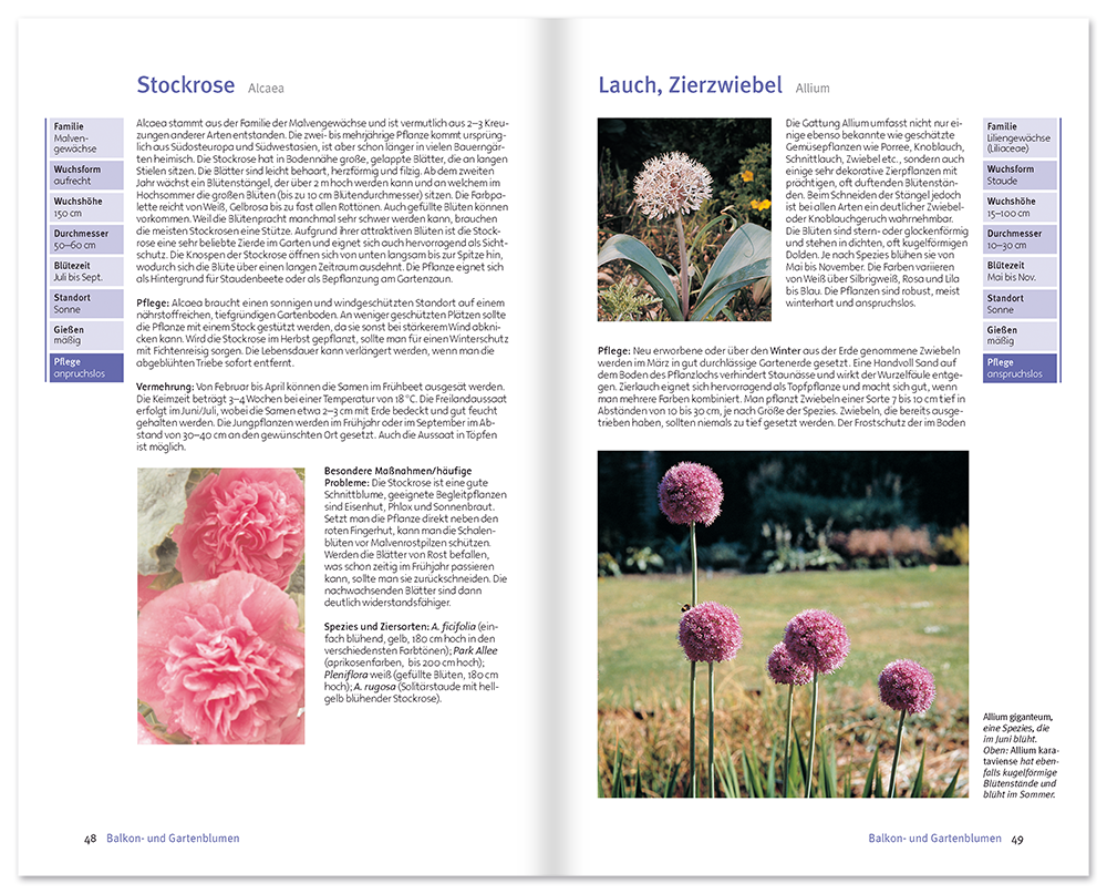 Balkon- und Gartenblumen Sachbuch Natur und Pflanzen Leseprobe S48–49 Neuer Kaiser Verlag Onlineshop