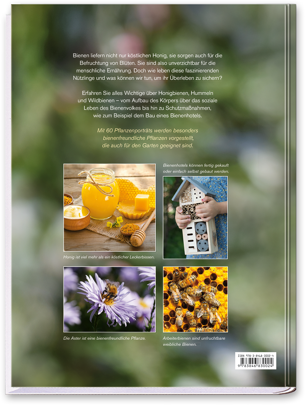 Bienen Sachbuch Insekten Cover Buch Rückseite Neuer Kaiser Verlag Onlineshop