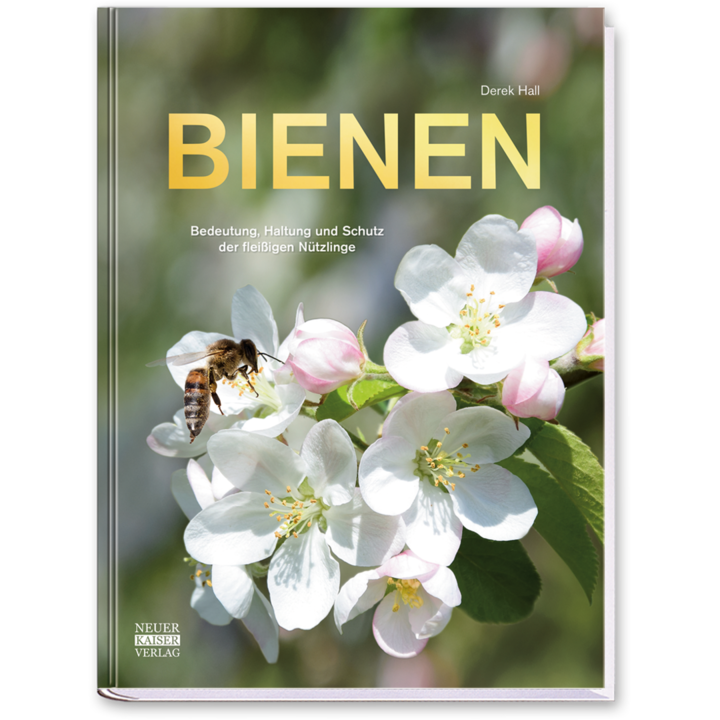 Bienen Sachbuch Insekten Cover Buch Vorderseite Neuer Kaiser Verlag Onlineshop