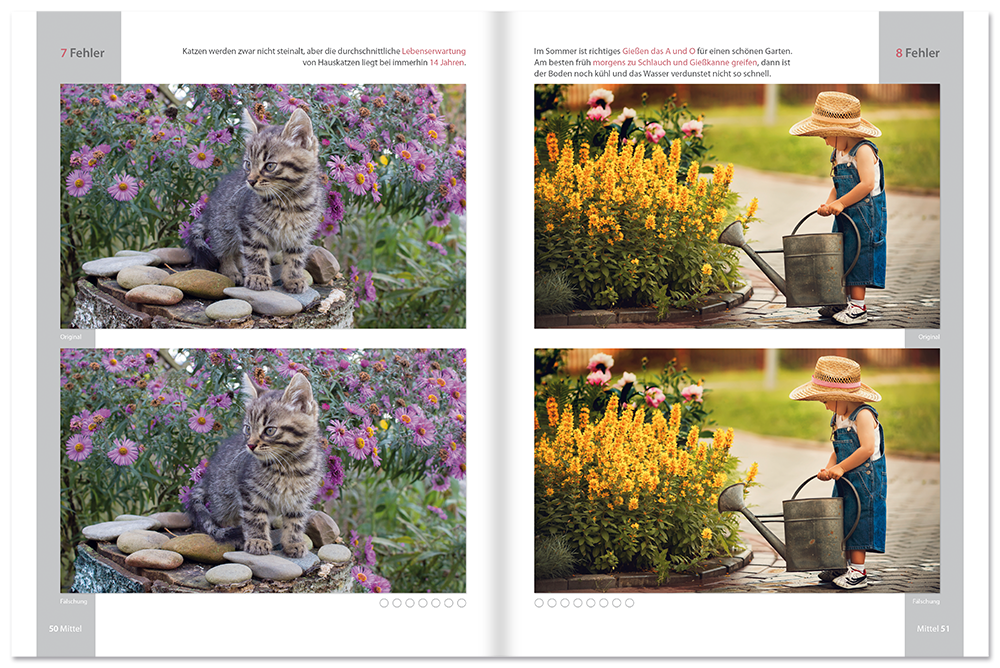 Bilder-Rätsel-Spaß Beschäftigungsbuch Graue Zellen trainieren Rätsel Leseprobe S50–51 Tosa Onlineshop