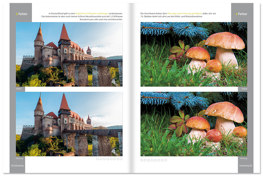 Bilder-Rätsel-Spaß Beschäftigungsbuch Graue Zellen trainieren Rätsel Leseprobe S72–73 Tosa Onlineshop