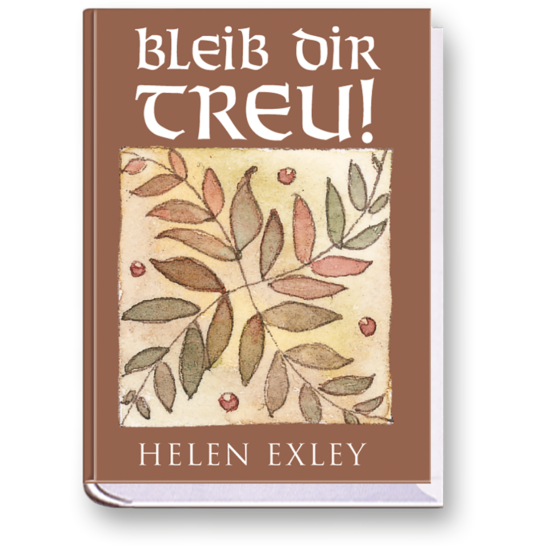 Bleib dir treu Geschenkbuch Handgefertigtes Miniaturbuch Cover Buch Vorderseite EDITION XXS Onlineshop