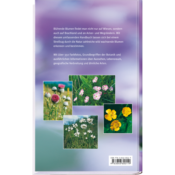 Blumen am Wegrand Sachbuch Natur und Pflanzen Cover Buch Rückseite Neuer Kaiser Verlag Onlineshop