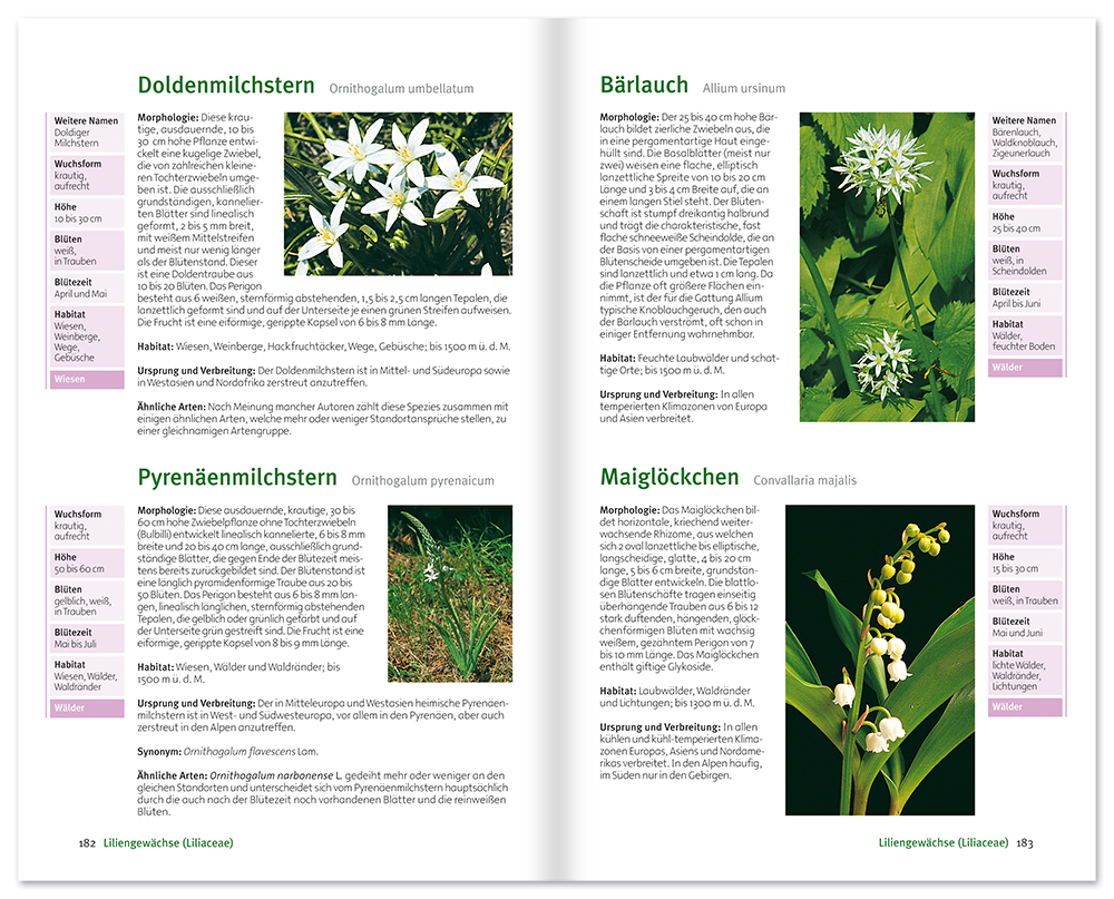 Blumen am Wegrand Sachbuch Natur und Pflanzen Leseprobe S182–183 Neuer Kaiser Verlag Onlineshop