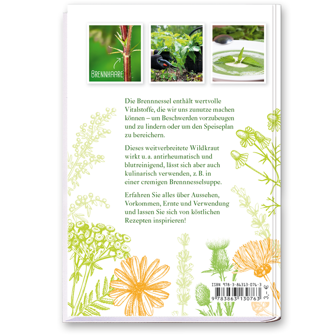 Brennnessel Sachbuch Wildpflanzen Ratgeber Cover Buch Rückseite Tosa Onlineshop