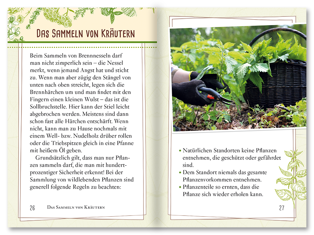 Brennnessel Sachbuch Wildpflanzen Ratgeber Leseprobe S26–27 Tosa Onlineshop