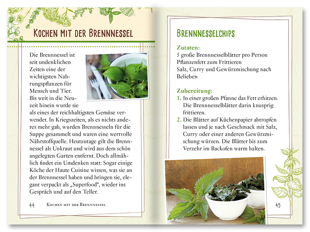 Brennnessel Sachbuch Wildpflanzen Ratgeber Leseprobe S44–45 Tosa Onlineshop