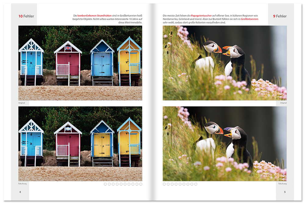 British Bilder-Rätsel Beschäftigungsbuch Graue Zellen trainieren Rätsel Leseprobe S4–5 Tosa Onlineshop