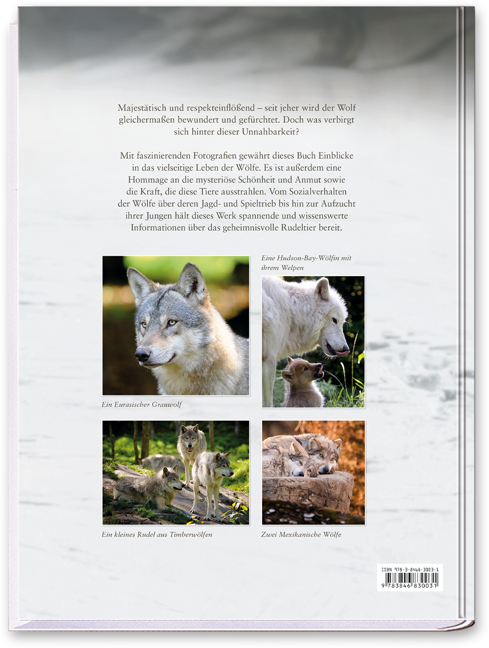 Das Leben der Wölfe Sachbuch Tiere Natur Wissen Cover Buch Rückseite Neuer Kaiser Verlag Onlineshop