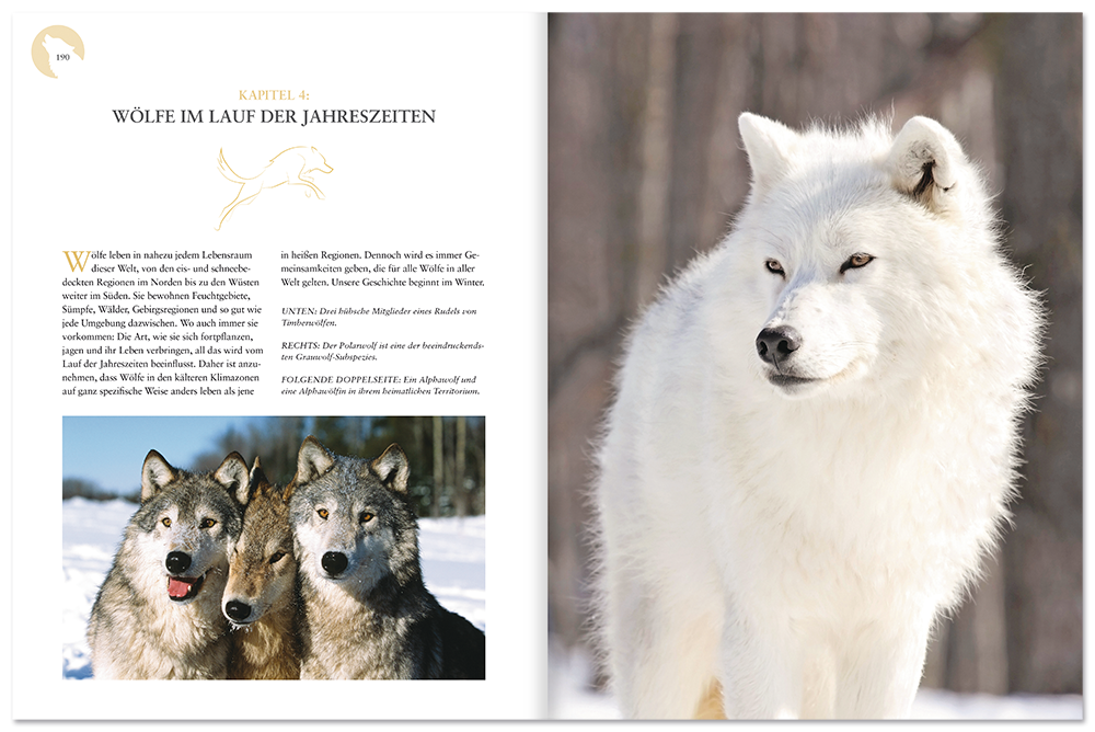 Das Leben der Wölfe Sachbuch Tiere Natur Wissen Leseprobe S190–191 Neuer Kaiser Verlag Onlineshop