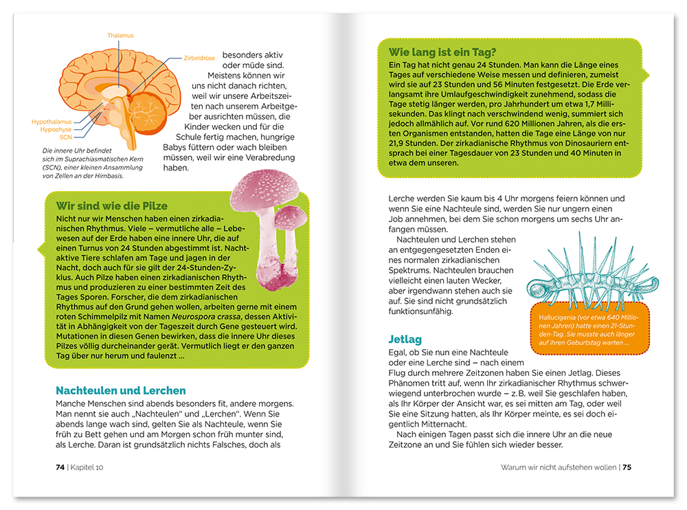 Der 15-Minuten Psychologe Sachbuch Psychologie Wissen Leseprobe S74–75 Tosa Onlineshop