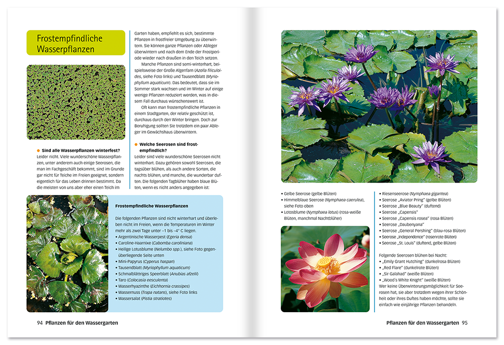 Der perfekte Gartenteich Buch Garten mit Teich gestalten Leseprobe S94-95 Edition XXL Onlineshop