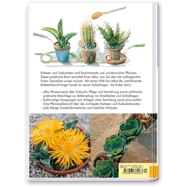 Der perfekte Kakteenführer Buch Kakteen richtig pflegen Cover Rückseite Edition XXL Onlineshop