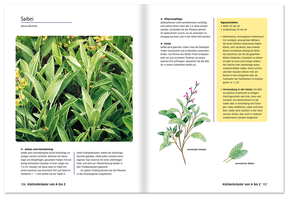 Der perfekte Kräutergarten Buch Kräuter selbst ziehen und pflegen Leseprobe S106-107 Edition XXL Onlineshop