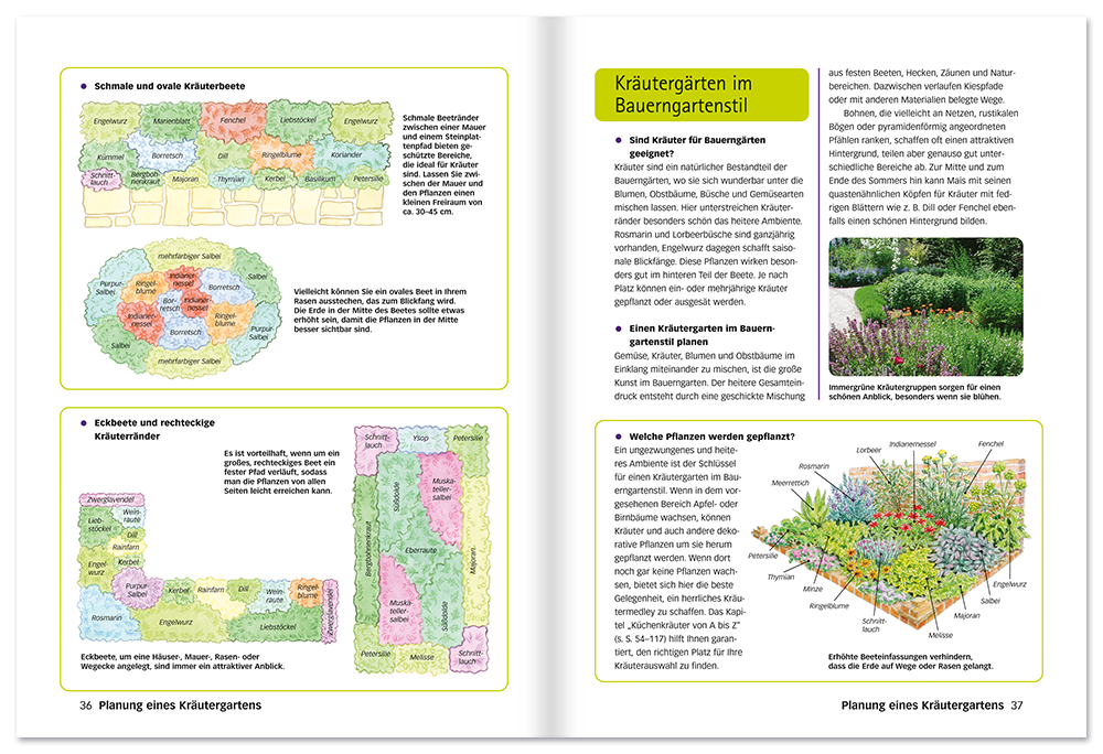Der perfekte Kräutergarten Buch Kräuter selbst ziehen und pflegen Leseprobe S36-37 Edition XXL Onlineshop