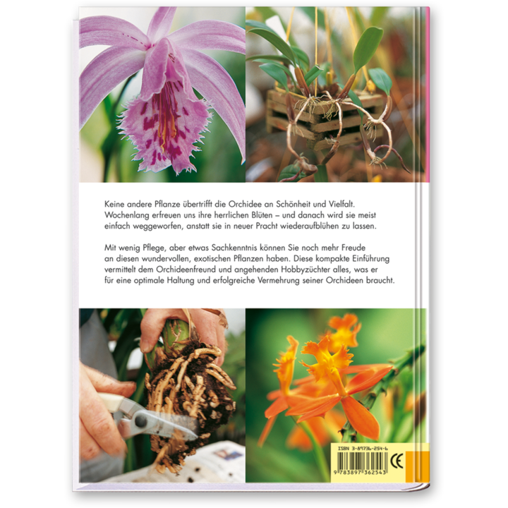 Der perfekte Orchideenführer Orchideen pflanzen, züchten und pflegen Cover Rückseite Edition XXL Onlineshop
