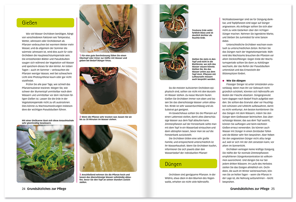 Der perfekte Orchideenführer Orchideen pflanzen, züchten und pflegen Leseprobe S24-25 Edition XXL Onlineshop