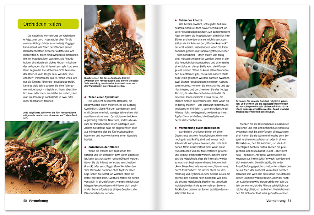 Der perfekte Orchideenführer Orchideen pflanzen, züchten und pflegen Leseprobe S50-51 Edition XXL Onlineshop