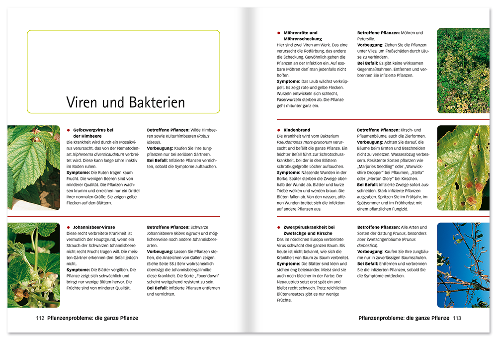 Der perfekte Pflanzendoktor Buch Schädlinge und Krankheiten bekämpfen Leseprobe S112-113 Edition XXL Onlineshop