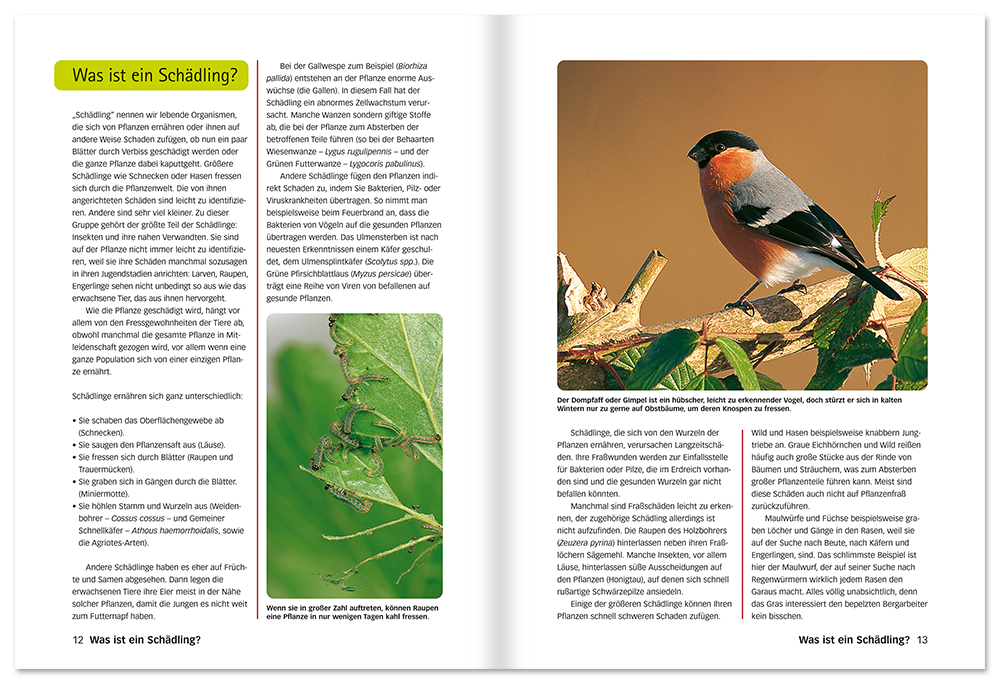 Der perfekte Pflanzendoktor Buch Schädlinge und Krankheiten bekämpfen Leseprobe S12-13 Edition XXL Onlineshop