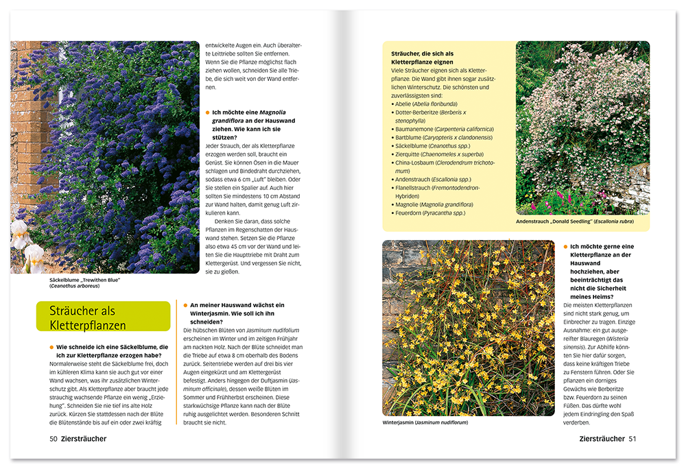 Der perfekte Pflanzenschnitt Buch Pflanzen richtig zurückschneiden Leseprobe S50-51 Edition XXL Onlineshop