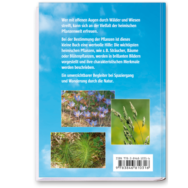 Der Pflanzenführer Natur erkennen und bestimmen Cover Rückseite Neuer Kaiser Verlag Onlineshop